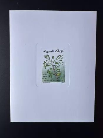 Maroc 1993 Mi. 1233 épreuve de luxe Flore Arganier Argania spinosa Botanique