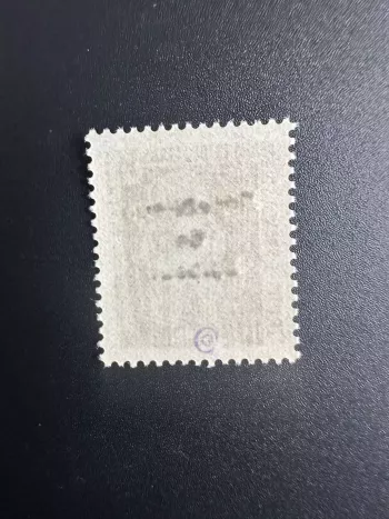 Djibouti 1977 Mi. TAXE 8 surcharge locale pot à lait nomades artisanat