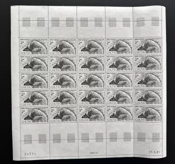 TAAF 1981 YT PA 67 Bogen Chionis Antarktis Vogel Fauna