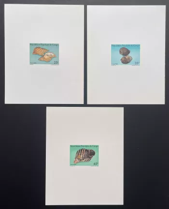 Congo 1982 Mi. 900 - 902 épreuve de luxe coquillages faune marine mollusques