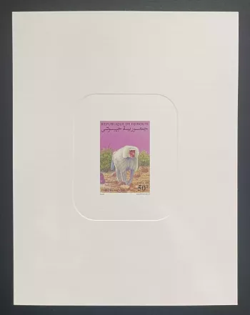 Djibouti 1990 Mi. 545 épreuve de luxe Papio hamadryas babouin faune primate