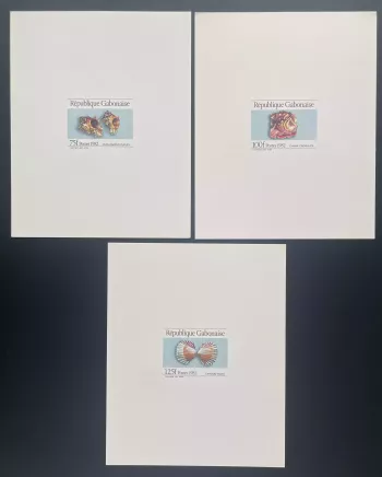 Gabon 1982 Mi. 836 - 838 épreuve de luxe coquillages faune marine