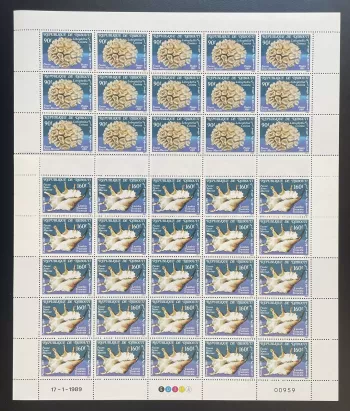 Djibouti 1989 YT 647-648 planche faune sous-marine corail coquillage