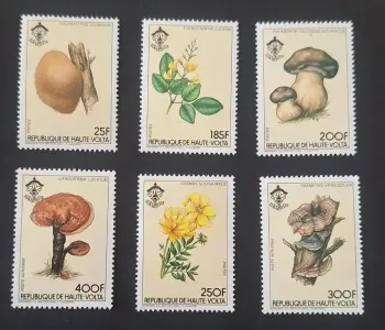 Haute-Volta 1984 Mi. 950-955 champignons fleurs scoutisme botanique