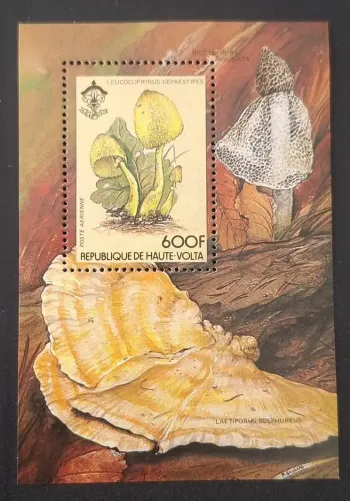 Haute-Volta 1984 Mi. Bl. 80 champignons Leucocoprinus scoutisme