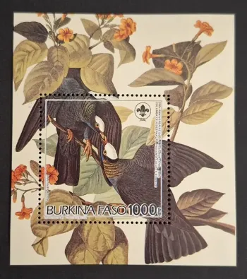 Burkina Faso 1985 Mi. Bl. 111 Audubon oiseaux pigeon scoutisme