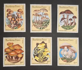 Burkina Faso 1985 Mi. 1054-1060 Pilze Pholiota Marasmius Mykologie