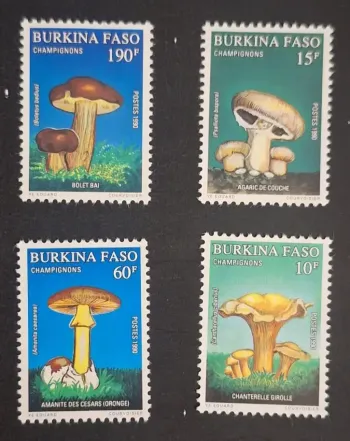 Burkina Faso 1990 Mi. 1231-1234 Pilze Steinpilz Amanita Pfifferling