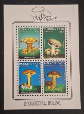 Burkina Faso 1990 Mi. Bl. 134 Pilze Pfifferling Amanita Steinpilz
