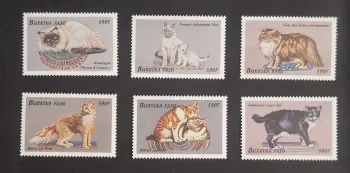 Burkina Faso 1999 Mi. 1694-1699 chats races Himalyen Siamois Norvégien
