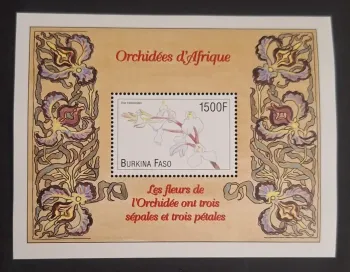 Burkina Faso 2000 Mi. Bl. 199 orchidées Afrique Disa tripetaloides fleurs