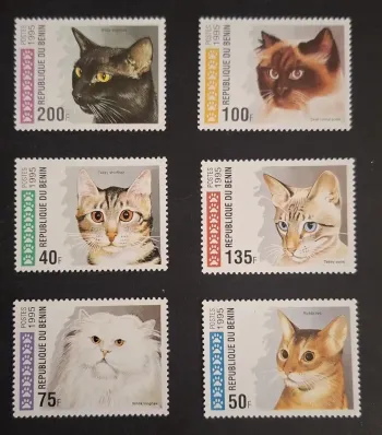 Bénin 1995 Mi. 668-673 chats races Siamois Persan Abyssin animaux