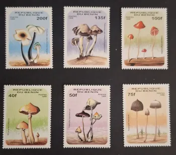 Bénin 1996 Mi. 849-854 champignons Psilocybe Conocybe mycologie flora