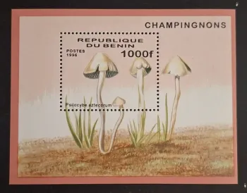 Bénin 1996 Mi. Bl. 22 Champignons Psilocybe aztecorum mycologie