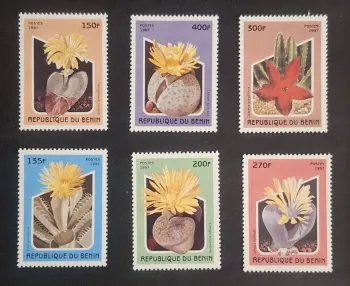 Bénin 1997 Mi. 964-969 cactus Lithops Stapelia plantes succulentes flore