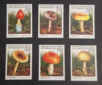 Bénin 1997 Mi. 989-994 champignons Amanita Russula Cortinarius