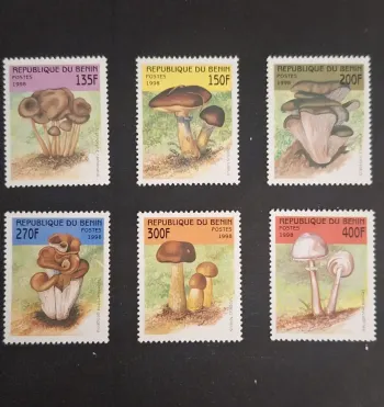 Bénin 1998 Mi. 1003-1008 champignons mycologie flore Suillus Lepiota