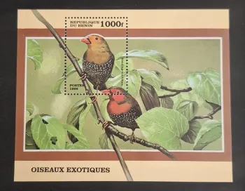 Bénin 1999 Mi. Bl. 45 Oiseaux exotiques Mandingoa nitidula faune