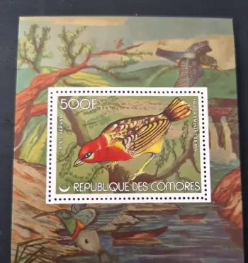 Comores 1979 Mi. Bl. 115 oiseaux Foudia eminentissima poste aérienne