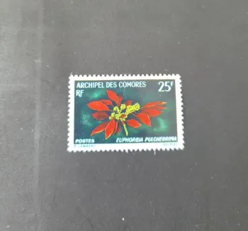 Comores 1970 Mi. 104 Euphorbia pulcherrima poinsettia fleur flore
