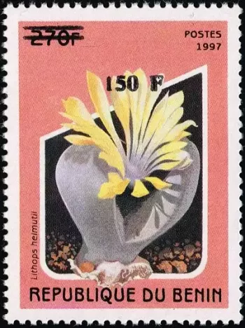 Benin 2000 Mi. 1295 surcharged Lithops helmutii succulent plant flower