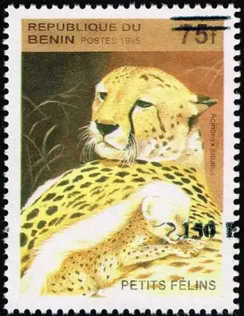 Bénin 2000 Mi. 1256 surchargé guépard petits félins Acinonyx jubatus faune