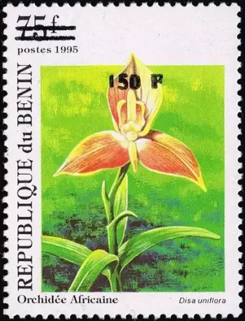 Benin 2000 Mi. 1257 Aufdruck Afrikanische Orchidee Disa uniflora Flora