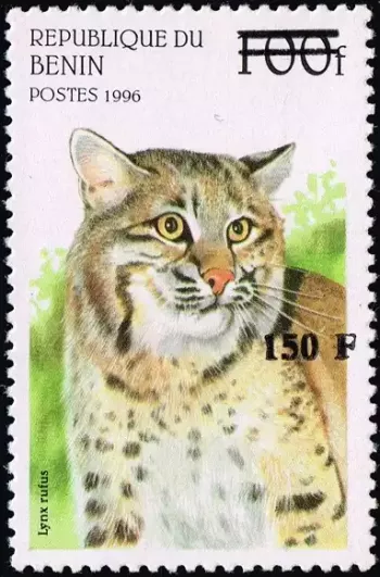 Bénin 2000 Mi. 1282 surchargé Lynx rufus félin chat sauvage faune
