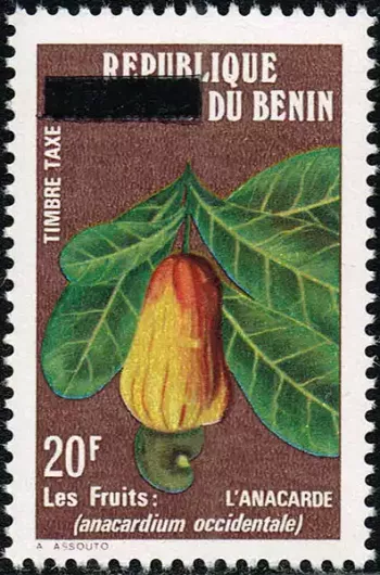 Benin 1990 Mi. 12 Postage Due surcharged tax cashew fruits