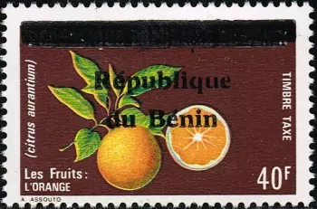 Benin 1990 Mi. 13 Postage Due surcharged tax fruits orange citrus