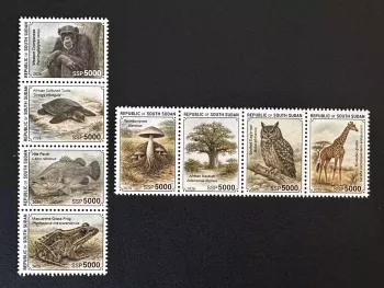 South Sudan 2026 Wildlife chimpanzee turtle perch frog giraffe owl