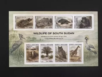 South Sudan 2026 IMPERF block Wildlife frog turtle chimpanzee giraffe owl