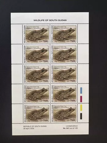 Sud-Soudan 2026 feuillet grenouille Ptychadena mascareniensis faune