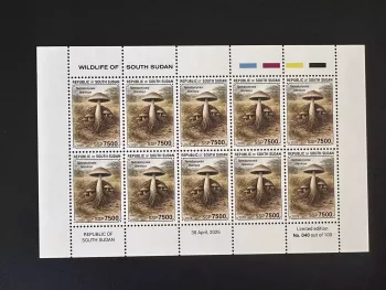 Südsudan 2026 Block Pilze Termitomyces titanicus Fauna