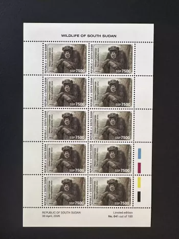 Sud-Soudan 2026 feuillet chimpanzé occidental faune sauvage primate