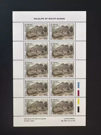 Sud-Soudan 2026 feuillet perche du Nil Lates niloticus poisson faune