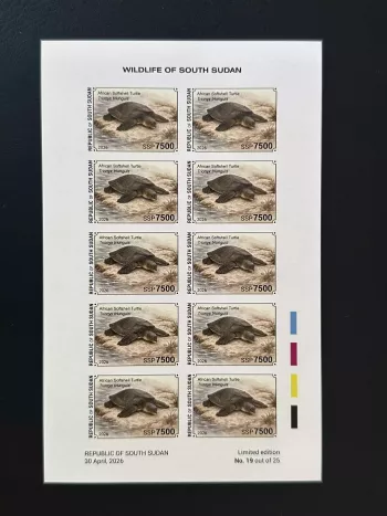 Südsudan 2026 Block ND Afrikanische Weichschildkröte Trionyx triunguis
