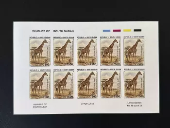 Südsudan 2026 Block ND Kordofan-Giraffe Wildtiere Afrika