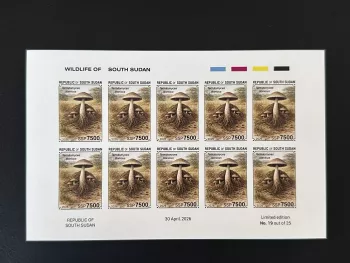 Südsudan 2026 Block ND Pilze Termitomyces titanicus Fauna