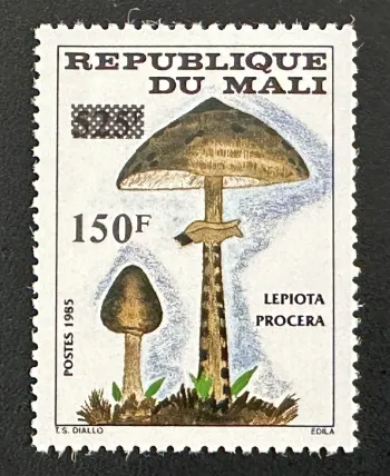 Mali 1992 Mi. 1156 surchargé champignon Lepiota Procera mycologie