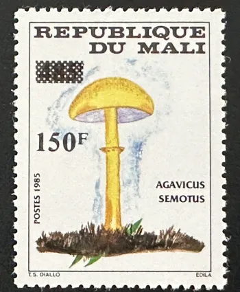 Mali 1992 Mi. 1155 surchargé champignon Agaricus semotus mycologie