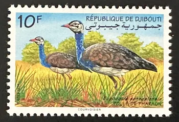 Djibouti 1994 Mi. 600 Poule de Pharaon outarde oiseau Eupodotis faune