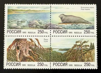 Russie 1995 Mi. 422-425 émission commune faune phoque lynx nature