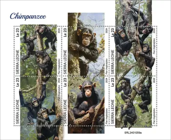 Sierra Leone 2024 Mi. 18180-18185 feuillet chimpanzés singes