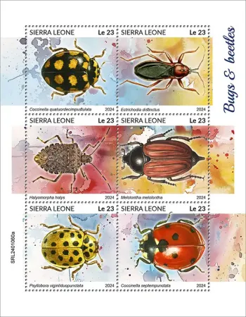 Sierra Leone 2024 Mi. 18012-18017 feuillet insectes coléoptères coccinelles