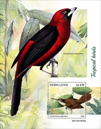 Sierra Leone 2024 Mi. Bl. 3169 bloc oiseaux tropicaux
