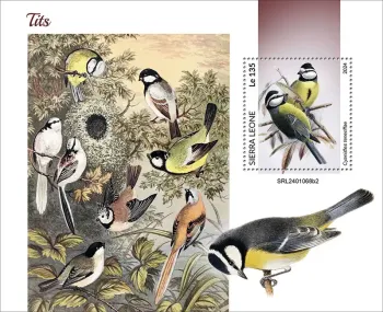Sierra Leone 2024 Mi. Bl. 3175 bloc mésanges oiseaux