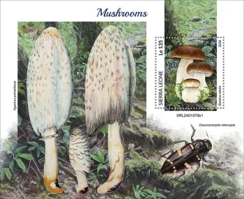 Sierra Leone 2024 Mi. Bl. 3132 bloc champignons cèpes morilles