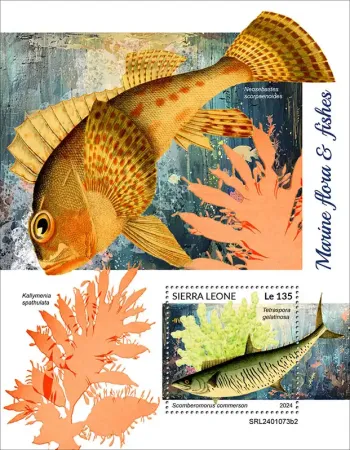 Sierra Leone 2024 Mi. Bl. 3139 bloc flore marine poissons