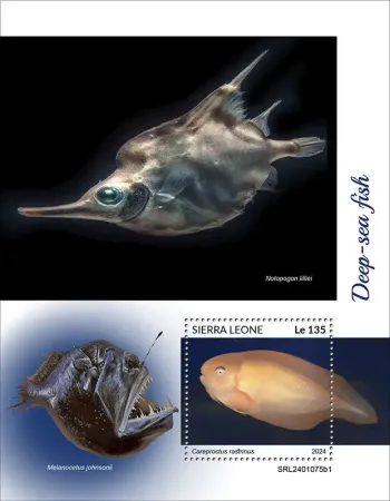 Sierra Leone 2024 Mi. Bl. 3142 bloc poissons des abysses